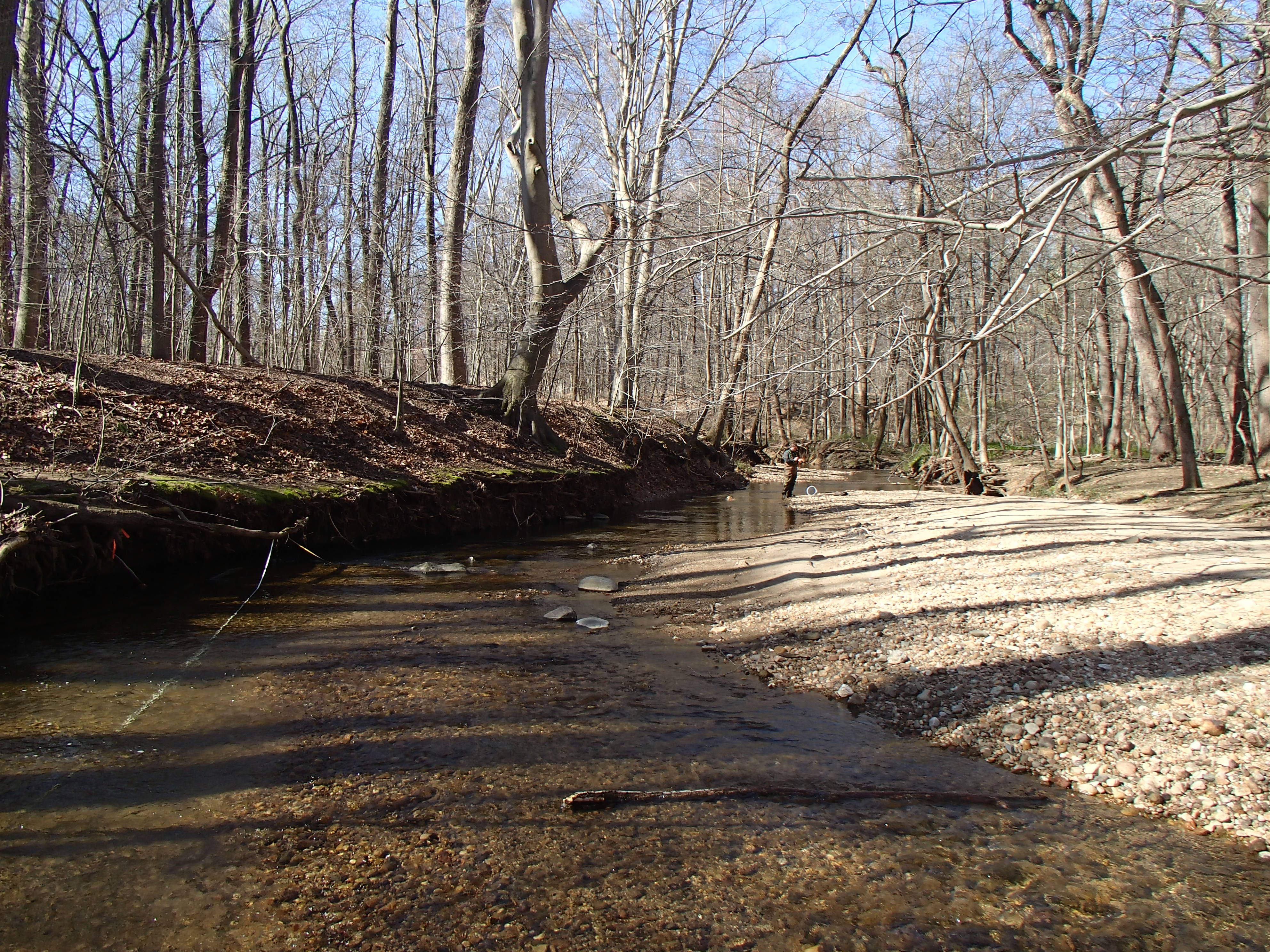Field photo showing stream conditions at site SWAN-202-R-2016_midpoint looking downstream